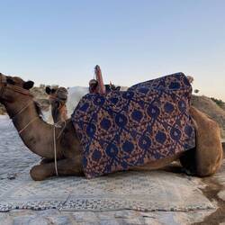 Camel rides at "Sunset viewpoint" - tied front legs so he couldn't stand up. 😧