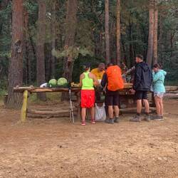 Foodstation in the middle of a Danish forest