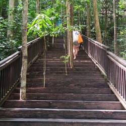 Staircase to the first view point