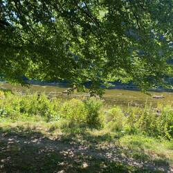 Blick vom "Geschichtenplatz"