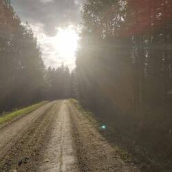 Der Blick nach vorne.