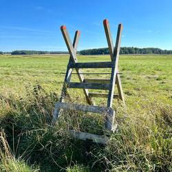 Immer diese Hindernisse