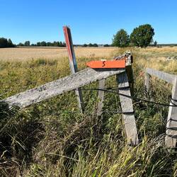 Diesem Symbol und dieser Farbe werde ich in den nächsten Tagen folgen