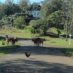 Norfolk traffic jam