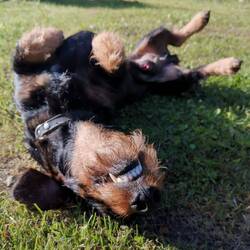 Found a new friend 😁😁😁!