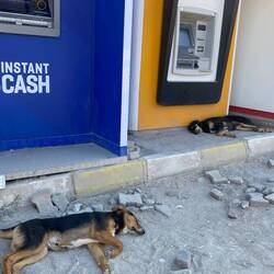 They dont have banks here - just lines of ATM buildings, guarded by the local strays