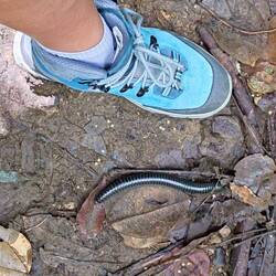 When my shoes were still clean 😱