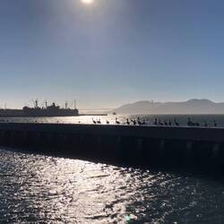 Bay of San Francisco