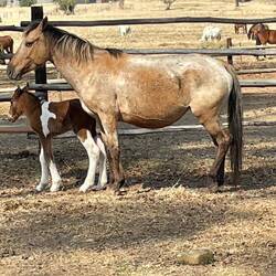Gerade ein paar Stunden alt