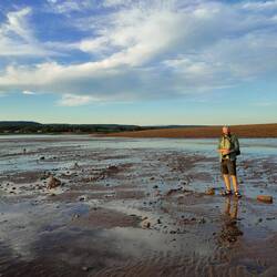 Low tide in the evening / Ebbe am Abend