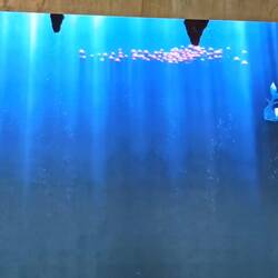 Auf einer riesigen Leinwand schwammen Krake Snorri und die Meerjungfrauen um die Wette 🐙🧜‍♀️