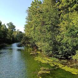 Absolut idyllisch, ruhig und allein in der Wildnis