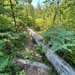 Das war ein einfaches Hindernis