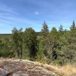 Ich hatte doch gerade erst Pause gemacht. Aber den Platz mußte ich für eine weitere nutzen 😊