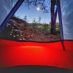 Gegen 4 Uhr leuchtete der Mond in mein "Zimmer"