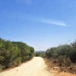 Auf Weg zum Strand