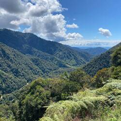 Cloud Forest