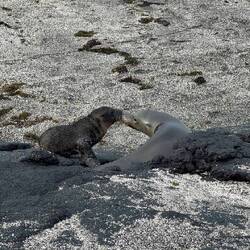 Herzliches Wiedersehen
