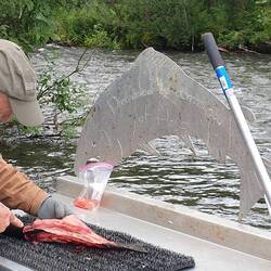 ...oder auch nicht...