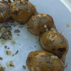 Abends gab es leckere französische Oliven