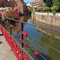 Am Brückengeländer unzählige Liebesschlösser ❤️❤️
