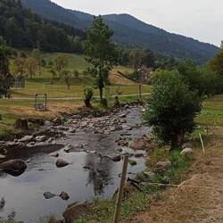 Immer dem Bächlein folgend...