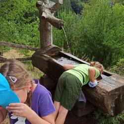 Henry kühlte sich ordentlich in der hauseigenen Quelle ab