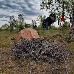 Firewood for 3 hours!