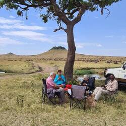 Lunch unterm Feigenbaum