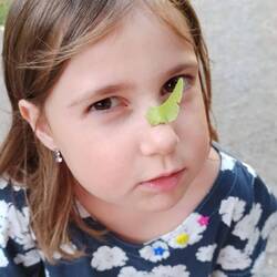 Uns lief noch zufällig ein Einhorn 🦄 über den Weg