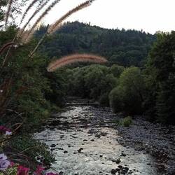 Abendrunde durch Waldkirch 😉