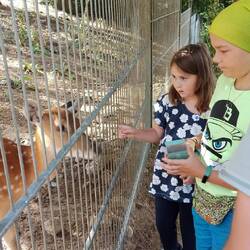 Tiere füttern ist immer toll 🤩