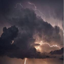 Photo from the internet that is just like what we saw