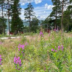 Ausgangspunkt unserer Wanderung