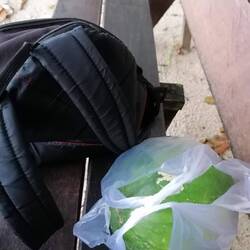 Früchte und Softdrinks gibt es auf der Divebase nicht. Also kaufen wir welche im Dorf.