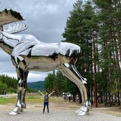 Der Kollege ist 11 Meter hoch