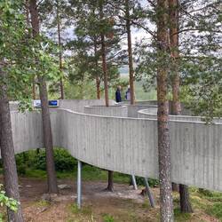 Der Steg schlängelt sich wie ein Band aus Beton um die Bäume