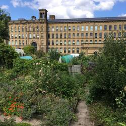 Salt's Mill, separated from the rest of the village by gardening plots