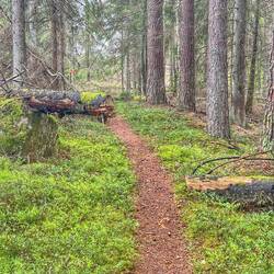 Hier hat mal jemand das Hindernis beseitigt