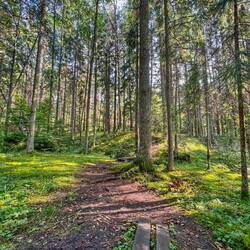 Hier hat sie im Schlamm gelegen, das sah ringsum alles so schön aus.