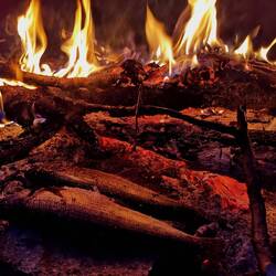 Fish at midnight - why not 😋😋😋?!