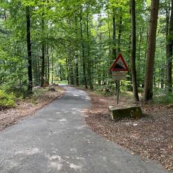 Von wegen Flachland, 25 % Steigung, da mussten wir leider mal schieben.