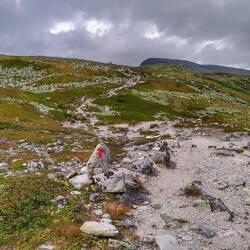 Wieder dem roten "T" folgen 👍