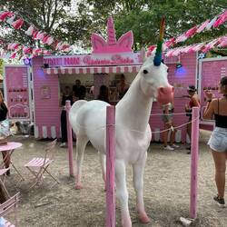 Credit photo Marion 😉