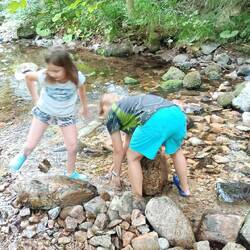 Die Mäuse hatten ihre wahre Freude 😀