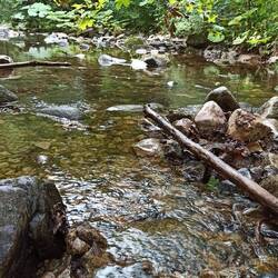 Das Bächlein plätschert ruhig dahin