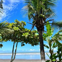 Surf Beach
