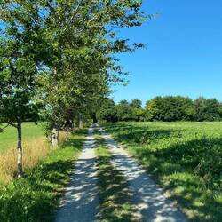 Abfahrt am Morgen. 1200 KM liegen vor uns