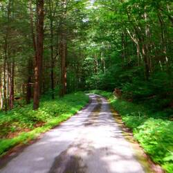 Our detour. Most of it was paved 🤣