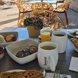 Frühstück im Schatten mit Blick zur Donau